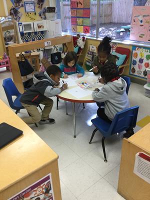 Cambridge visual data 8